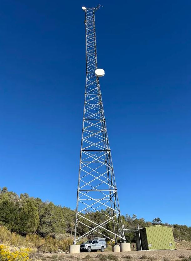 Network design in the field